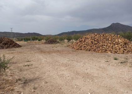 Recogida en almacén